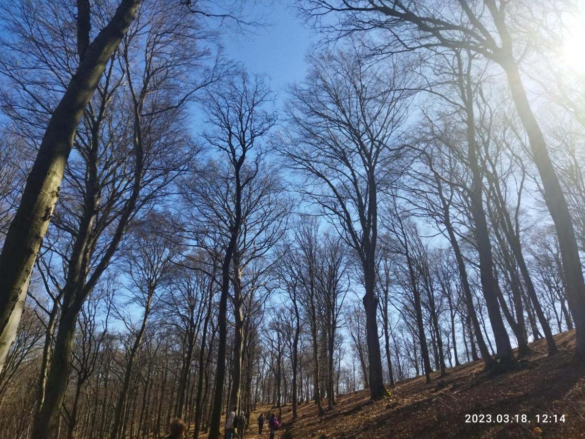 Var-Liget Vendeghaz Kisnana Bagian luar foto