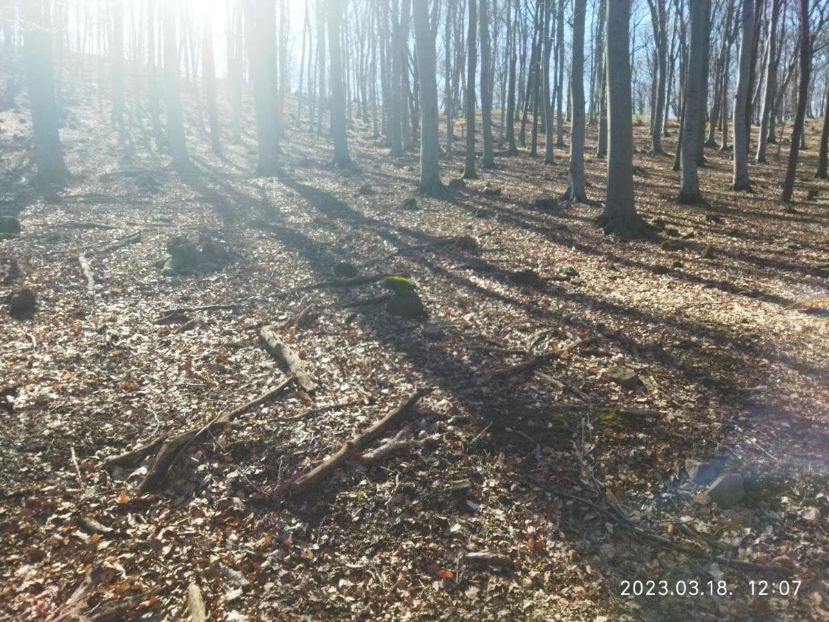 Var-Liget Vendeghaz Kisnana Bagian luar foto